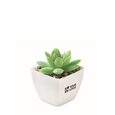 Mini kunstplant van PP in decoratieve vetplantstijl