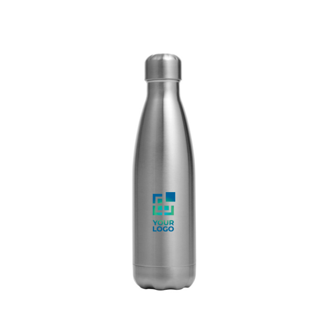 Roestvrijstalen fles met schroefdop zilver 650ml