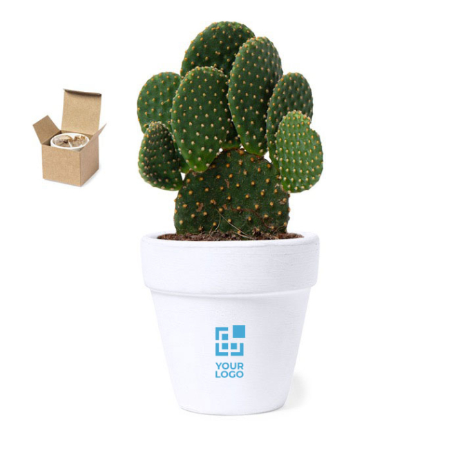 cactus, weergave met logo