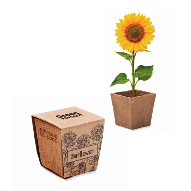 Biologisch afbreekbare bloempot met zonnebloemzaadjes, gemaakt in EU