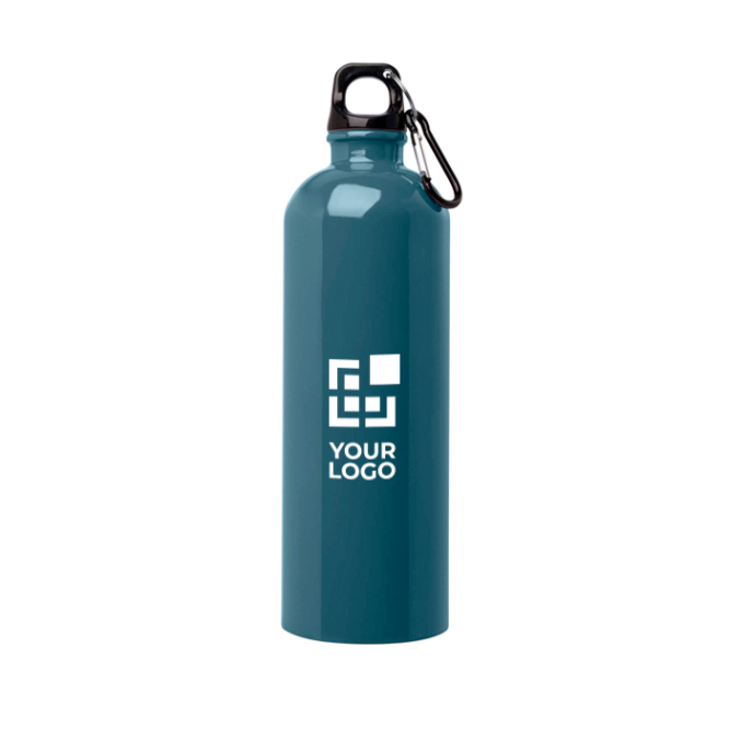 Gerecyclede RVS fles met karabijnhaak 750ml
