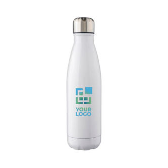 Roestvrijstalen fles met zilveren schroefdop, 650 ml