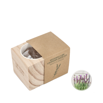 Lavendel kweekset met pot en kokossubstraat
