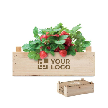 Aardbeien kweekset voor bedrijfspromotie kleur hout