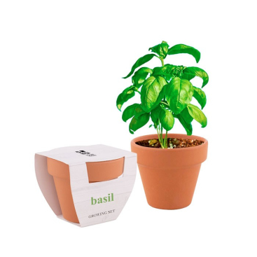 Bloempot met logo met basilicumzaden weergave met jouw bedrukking