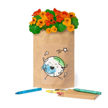 Bloempot met kleurpotloden