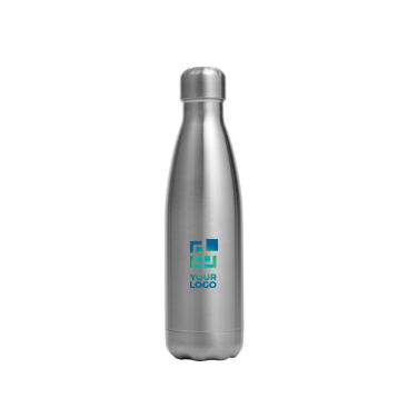 Roestvrijstalen fles met schroefdop zilver 650ml