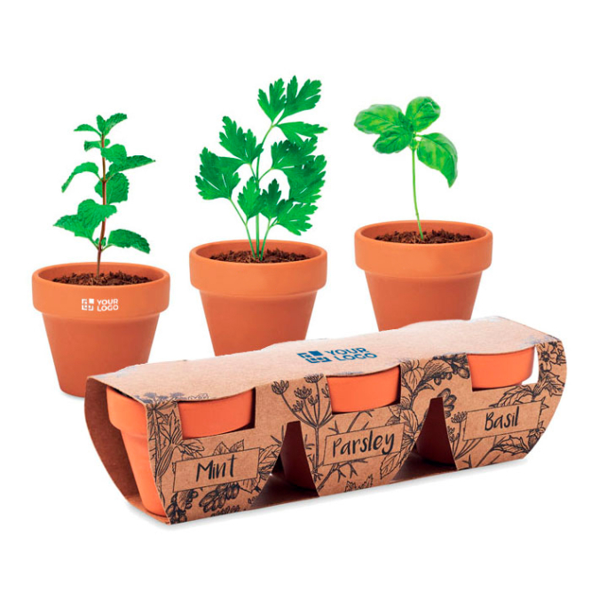 Drie bloempotjes met kruiden kleur bruin logo op één bloempot